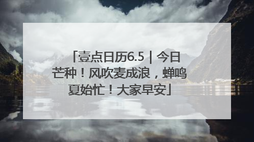 壹点日历6.5｜今日芒种！风吹麦成浪，蝉鸣夏始忙！大家早安