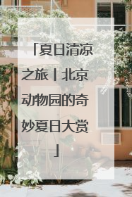 夏日清凉之旅丨北京动物园的奇妙夏日大赏