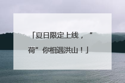 夏日限定上线，“荷”你相遇洪山！