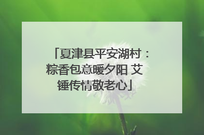 夏津县平安湖村：粽香包意暖夕阳 艾锤传情敬老心