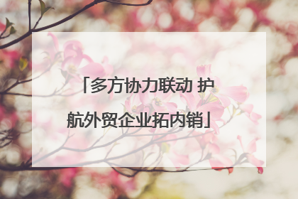 多方协力联动 护航外贸企业拓内销