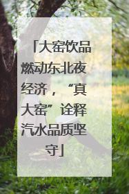 大窑饮品燃动东北夜经济，“真大窑”诠释汽水品质坚守