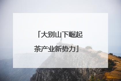 大别山下崛起茶产业新势力