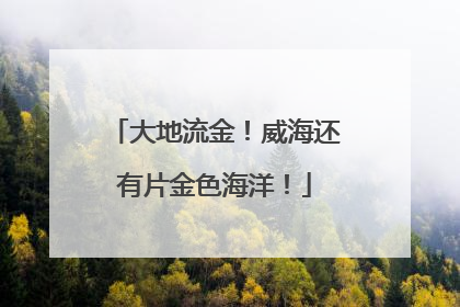 大地流金！威海还有片金色海洋！