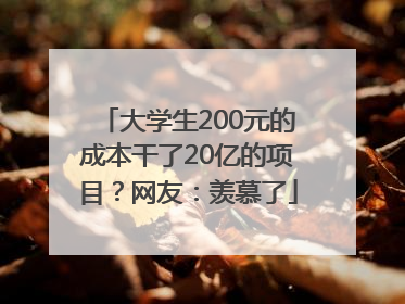 大学生200元的成本干了20亿的项目？网友：羡慕了