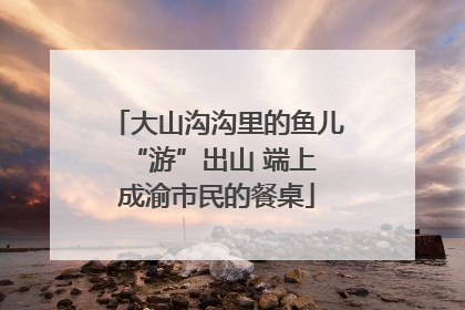 大山沟沟里的鱼儿 “游”出山 端上成渝市民的餐桌