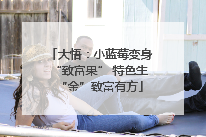 大悟：小蓝莓变身“致富果” 特色生“金”致富有方