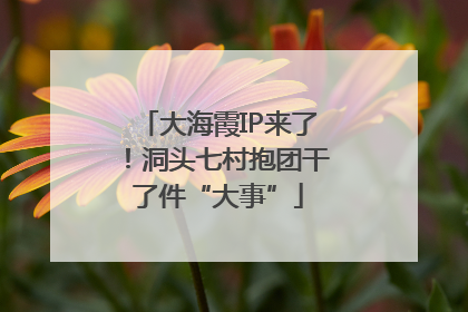 大海霞IP来了！洞头七村抱团干了件“大事”