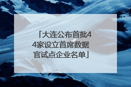 大连公布首批44家设立首席数据官试点企业名单