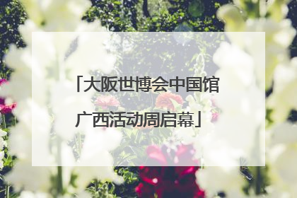 大阪世博会中国馆广西活动周启幕