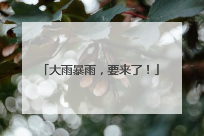 大雨暴雨，要来了！