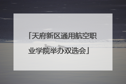 天府新区通用航空职业学院举办双选会