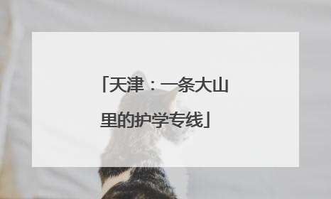 天津：一条大山里的护学专线