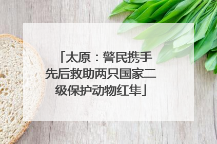 太原：警民携手 先后救助两只国家二级保护动物红隼