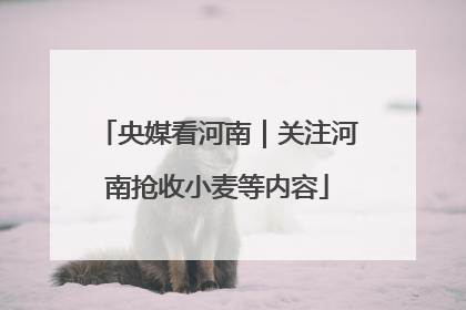 央媒看河南｜关注河南抢收小麦等内容