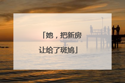 她，把新房让给了斑鸠