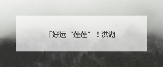 好运“莲莲”！洪湖公园并蒂莲迎风绽放