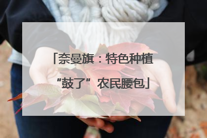 奈曼旗：特色种植“鼓了”农民腰包