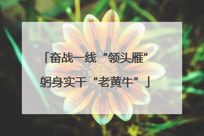 奋战一线“领头雁” 躬身实干“老黄牛”
