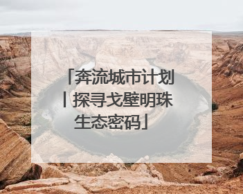 奔流城市计划丨探寻戈壁明珠生态密码