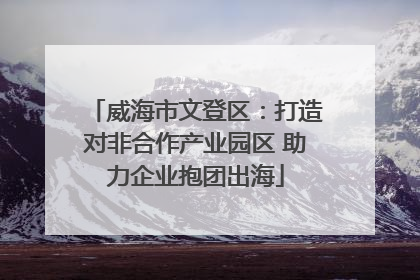 威海市文登区：打造对非合作产业园区 助力企业抱团出海