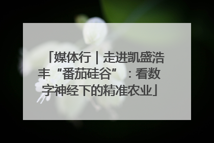 媒体行｜走进凯盛浩丰“番茄硅谷”：看数字神经下的精准农业