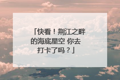 快看！荆江之畔的海底星空 你去打卡了吗？