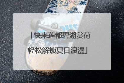 快来莲都碧湖赏荷 轻松解锁夏日浪漫