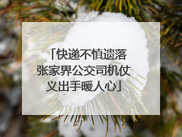 快递不慎遗落 张家界公交司机仗义出手暖人心
