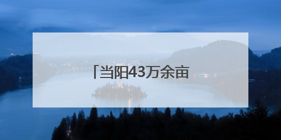 当阳43万余亩油菜颗粒归仓