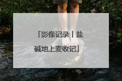 影像记录丨盐碱地上麦收记