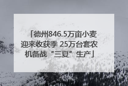 德州846.5万亩小麦迎来收获季 25万台套农机备战“三夏”生产