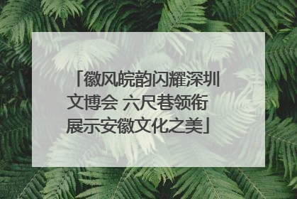 徽风皖韵闪耀深圳文博会 六尺巷领衔展示安徽文化之美