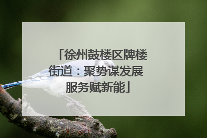 徐州鼓楼区牌楼街道：聚势谋发展 服务赋新能