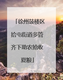 徐州鼓楼区拾屯街道多管齐下助农抢收夏粮
