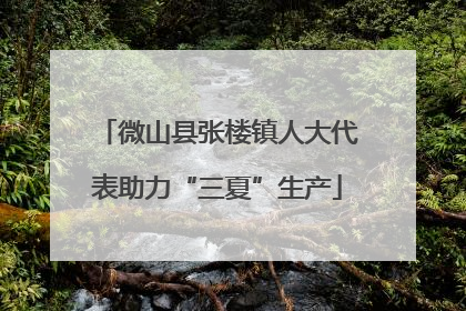 微山县张楼镇人大代表助力“三夏”生产