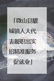 微山县驩城镇人大代表履职出实招精准服务促就业