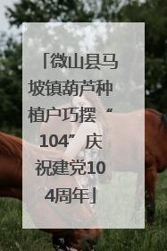 微山县马坡镇葫芦种植户巧摆“104”庆祝建党104周年