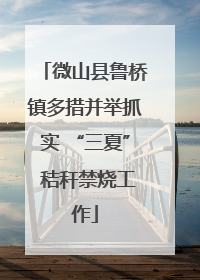微山县鲁桥镇多措并举抓实 “三夏” 秸秆禁烧工作