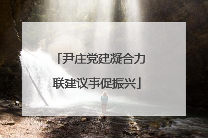 尹庄党建凝合力 联建议事促振兴