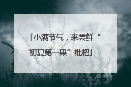 小满节气，来尝鲜“初夏第一果”枇杷