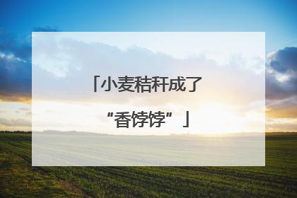 小麦秸秆成了“香饽饽”