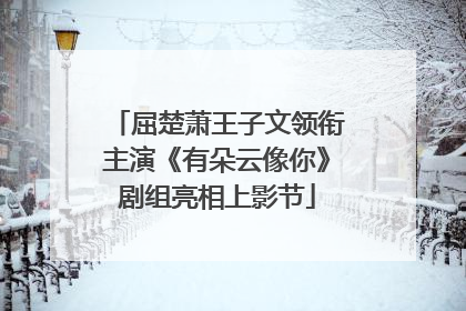 屈楚萧王子文领衔主演《有朵云像你》剧组亮相上影节