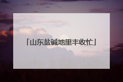山东盐碱地里丰收忙
