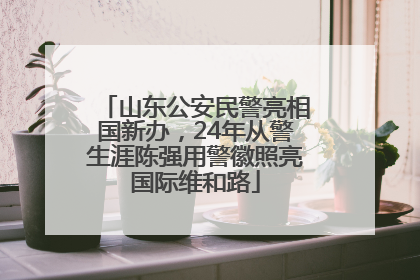 山东公安民警亮相国新办，24年从警生涯陈强用警徽照亮国际维和路