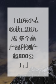 山东小麦收获已超九成 多个高产品种测产超800公斤