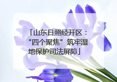 山东日照经开区：“四个聚焦”筑牢湿地保护司法屏障