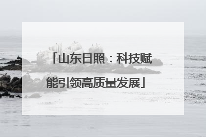 山东日照：科技赋能引领高质量发展