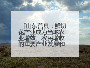 山东莒县：鲜切花产业成为当地农业增效、农民增收的重要产业发展和特色品牌