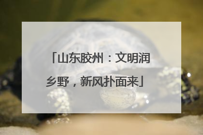山东胶州：文明润乡野，新风扑面来